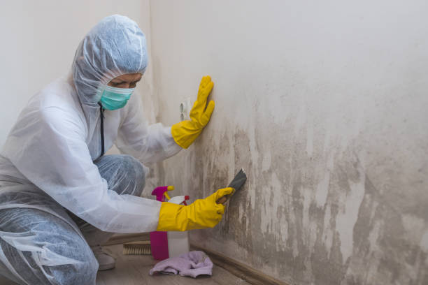 Best Airborne Mold Testing  in Ramblewood, NJ