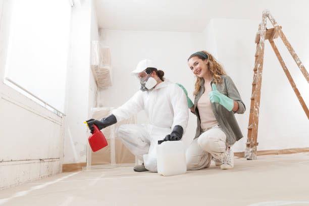 Best Mold Odor Removal Services  in Ramblewood, NJ