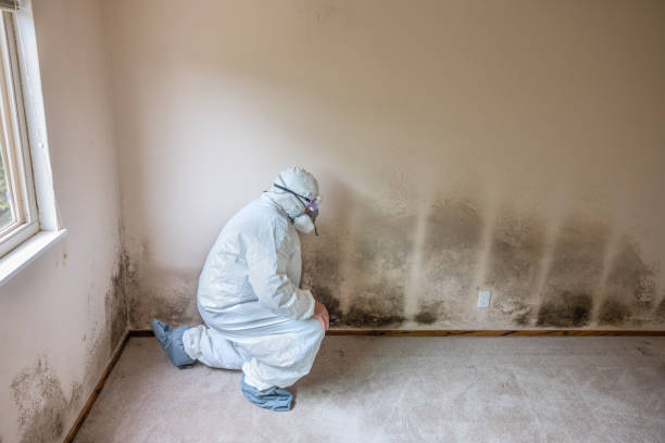 Best Crawl Space Mold Remediation  in Ramblewood, NJ
